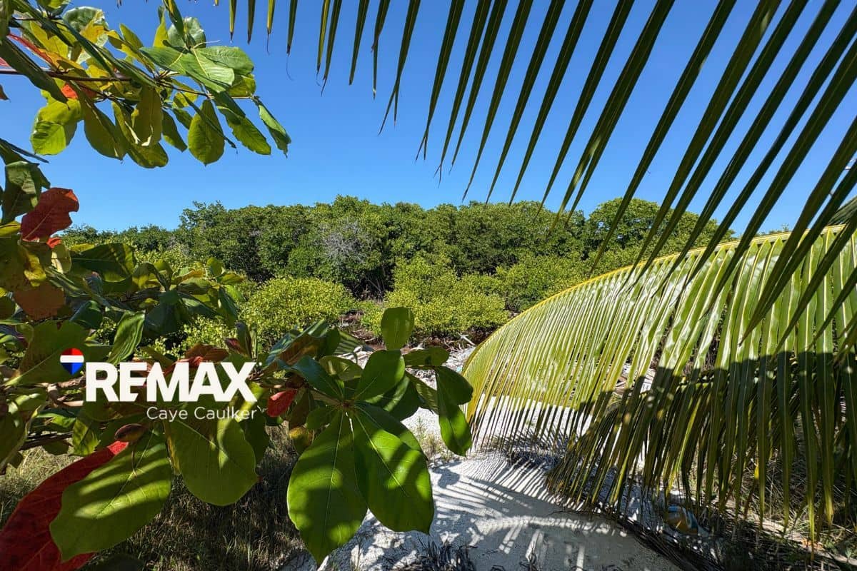 Oversized Off-Grid Lot at Mayan Sunrise – Prime Southside Investment Opportunity — Caye Caulker, Belize