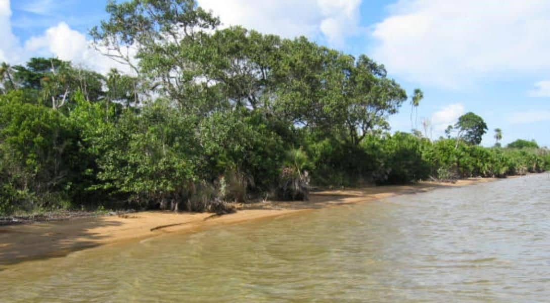 100 Acres of Ocean Front Property at Colson Point — Dangriga, Belize