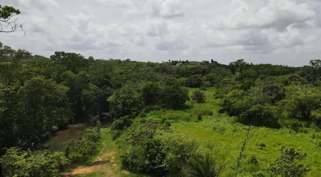 5 Acre of Riverfront in Belmopan — Belmopan, Belize