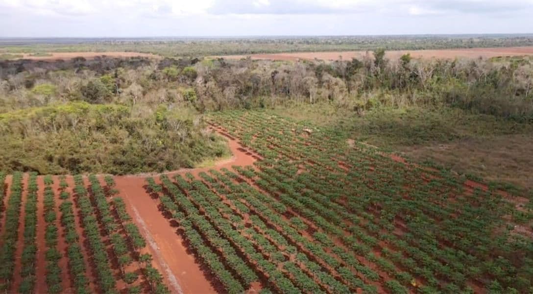 3,872 Acres Fruit farm in San Carlos, Orange Walk — photo 1 of 7