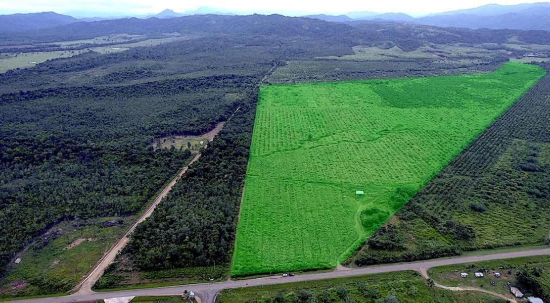 394 Acre Farm in Hopkins — photo 1 of 4