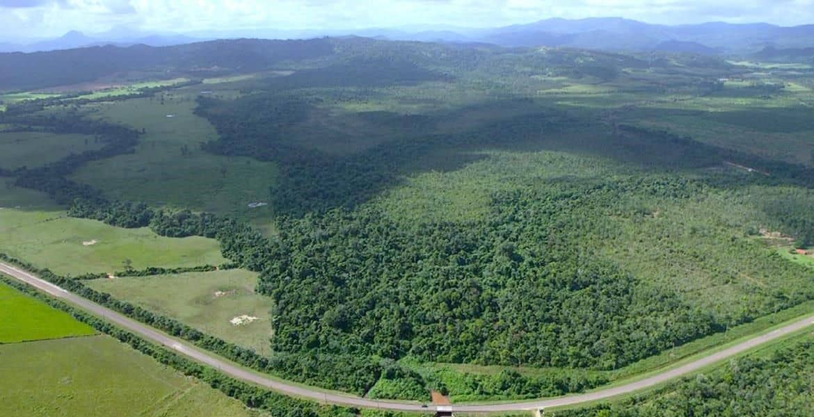 131 Acres of Rich Jungle on the Southern Highway — Hopkins, Belize