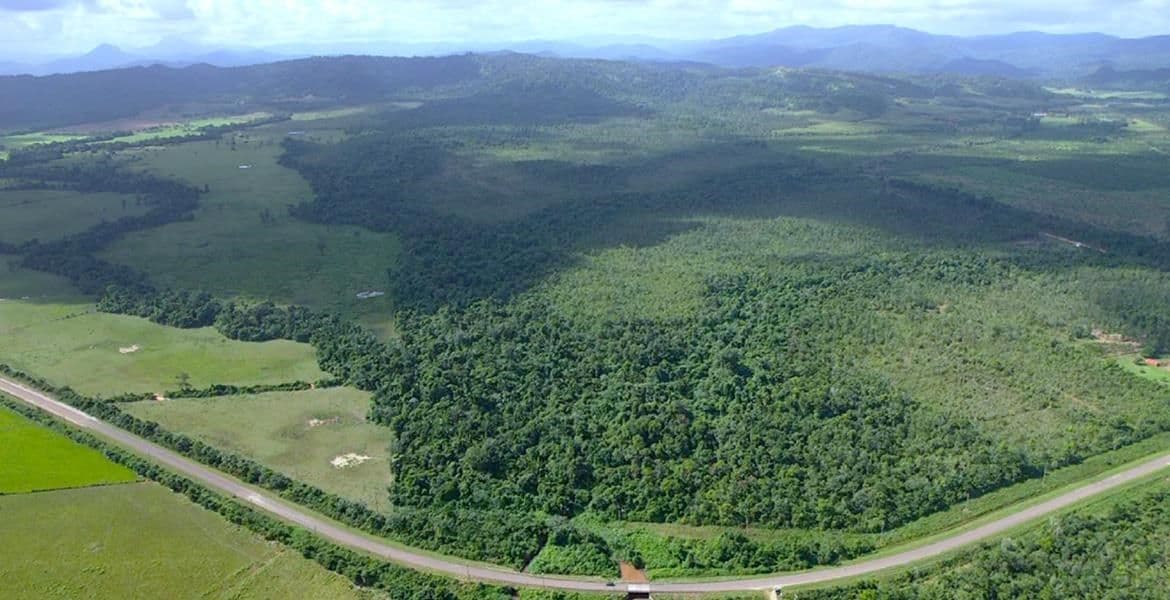 131 Acres of Rich Jungle on the Southern Highway — photo 1 of 9