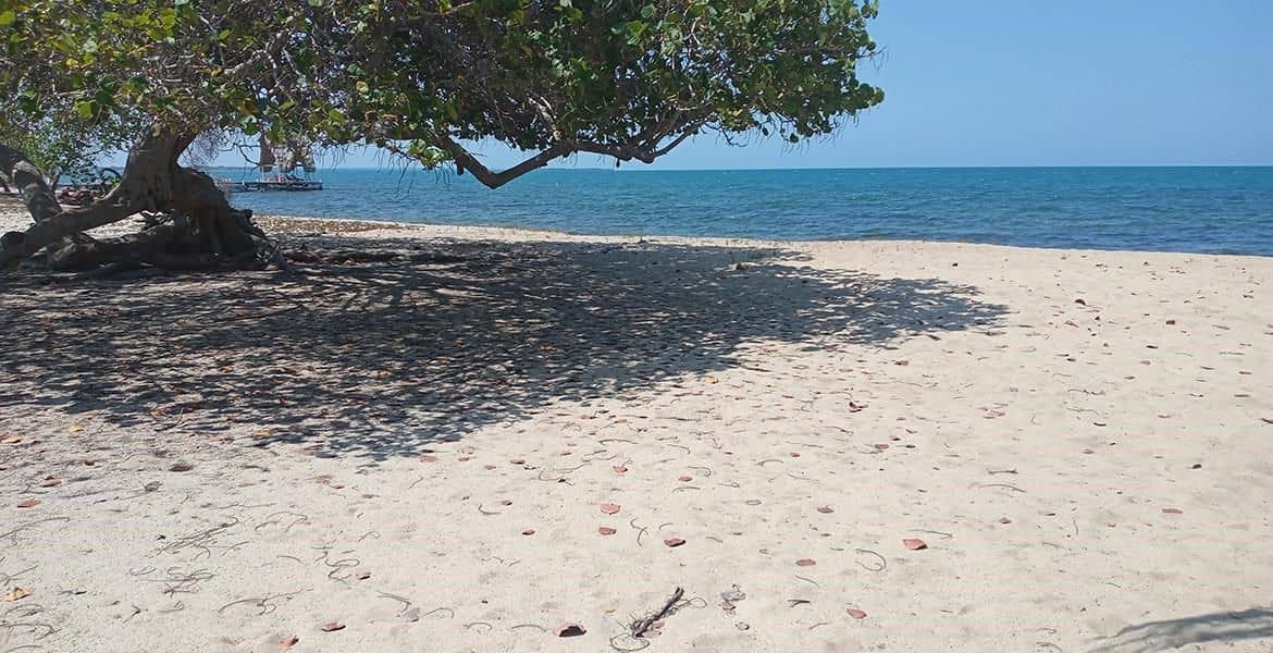 7 Acre Beachfront Development Parcel in Prime Location — Placencia, Belize