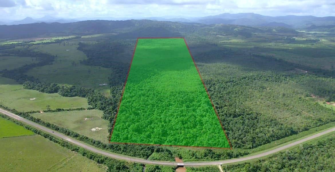 131 Acres of Rich Jungle on the Southern Highway — Hopkins, Belize