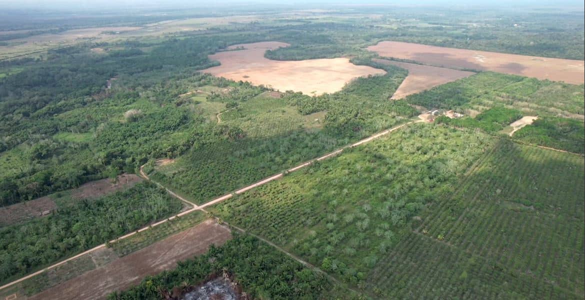 44 Acres of lush fertile Farmland for sale in Belize — Kendal, Belize