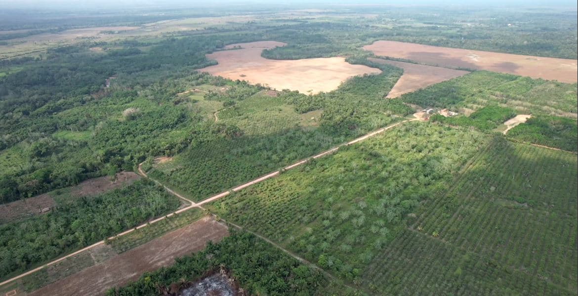 44 Acres of lush fertile Farmland for sale in Belize — photo 1 of 8