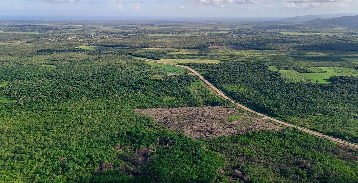 23 Acre Lot ready to develop on the Coastal Road — photo 1 of 3