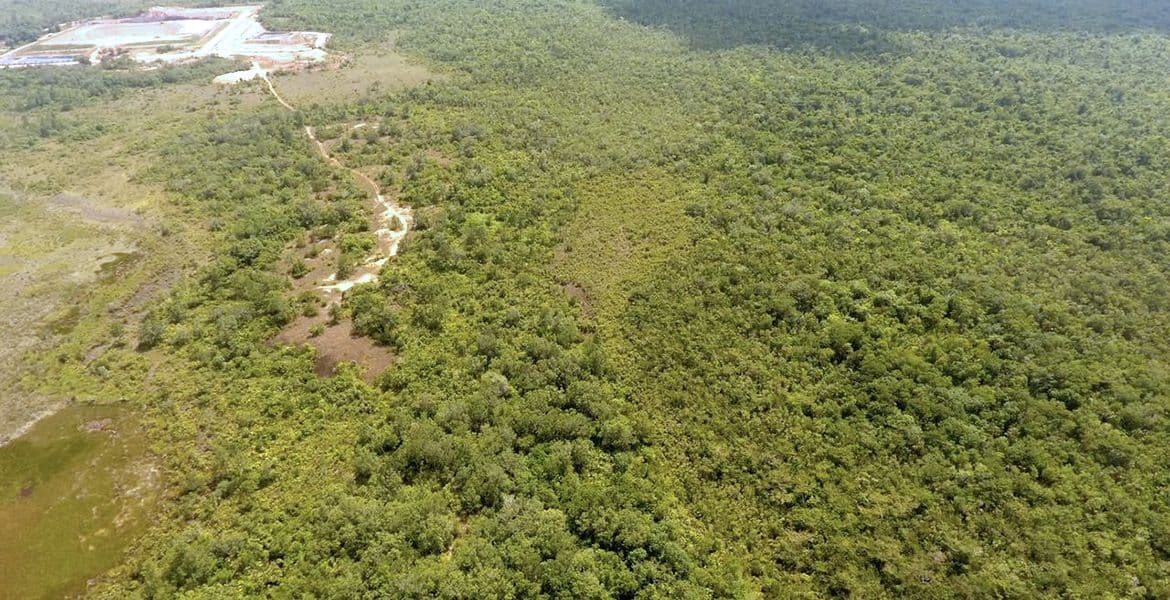 1,456 acre property near Hattieville — photo 1 of 4