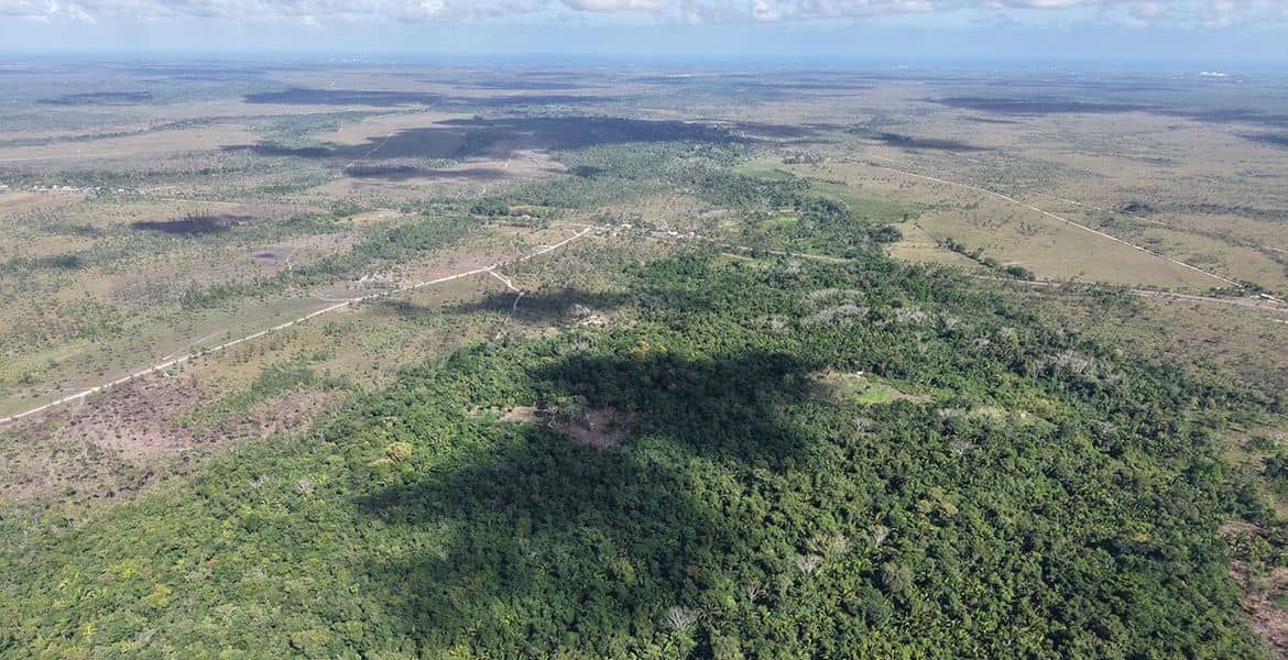 77 Acres of Rich Fertile Soil with Creek — Ideal for Farming — Georgetown, Belize