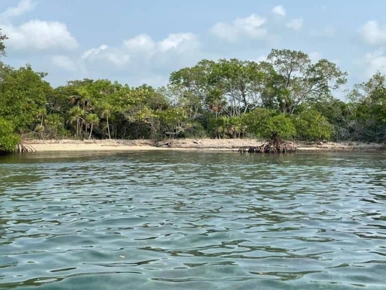 2 Acre Lot on Rocky Point Island — Placencia, Belize