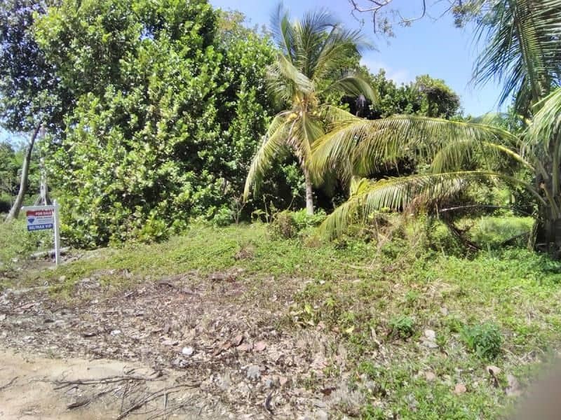 Quick Sale! Oceanview Lot in Mayacan — Riversdale, Belize