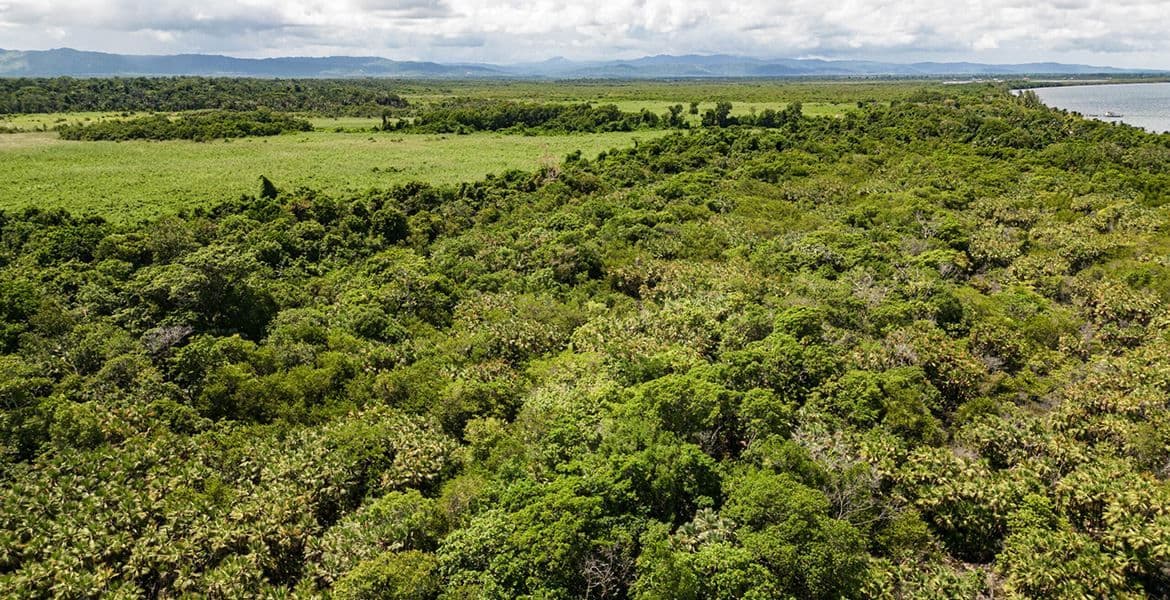 Jungle Lot in Mayacan — photo 1 of 8