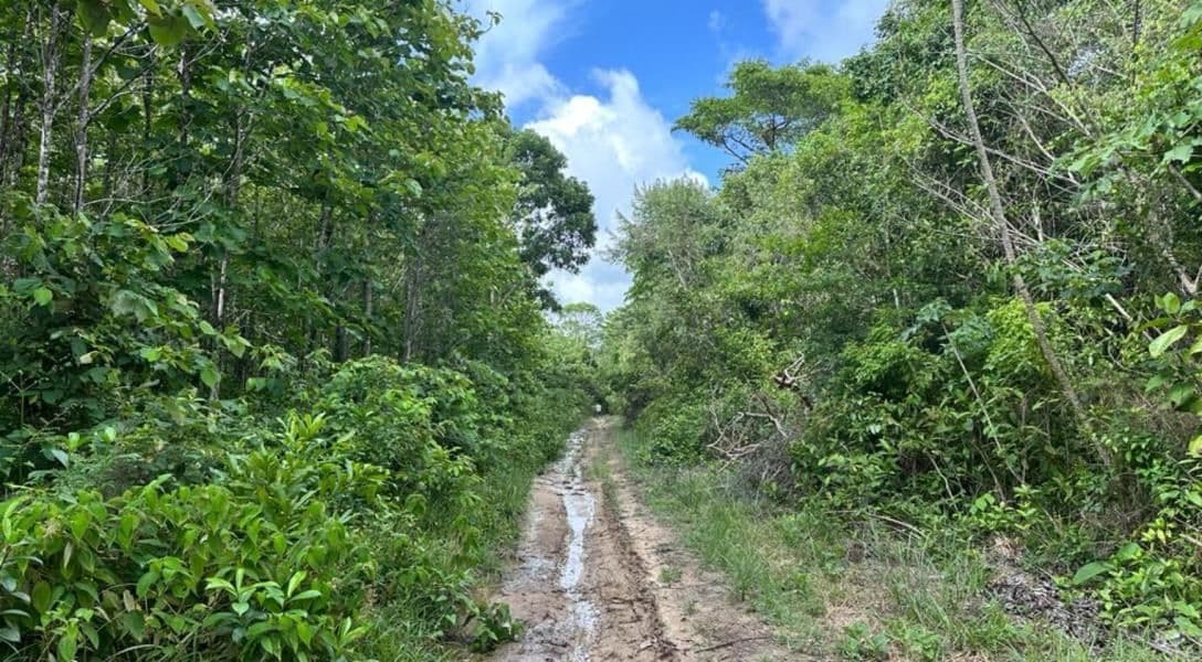 51 Acres on the Swasey River — photo 1 of 9