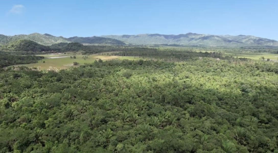 15 Acres Jungle Land for Sale in Belize — photo 1 of 8