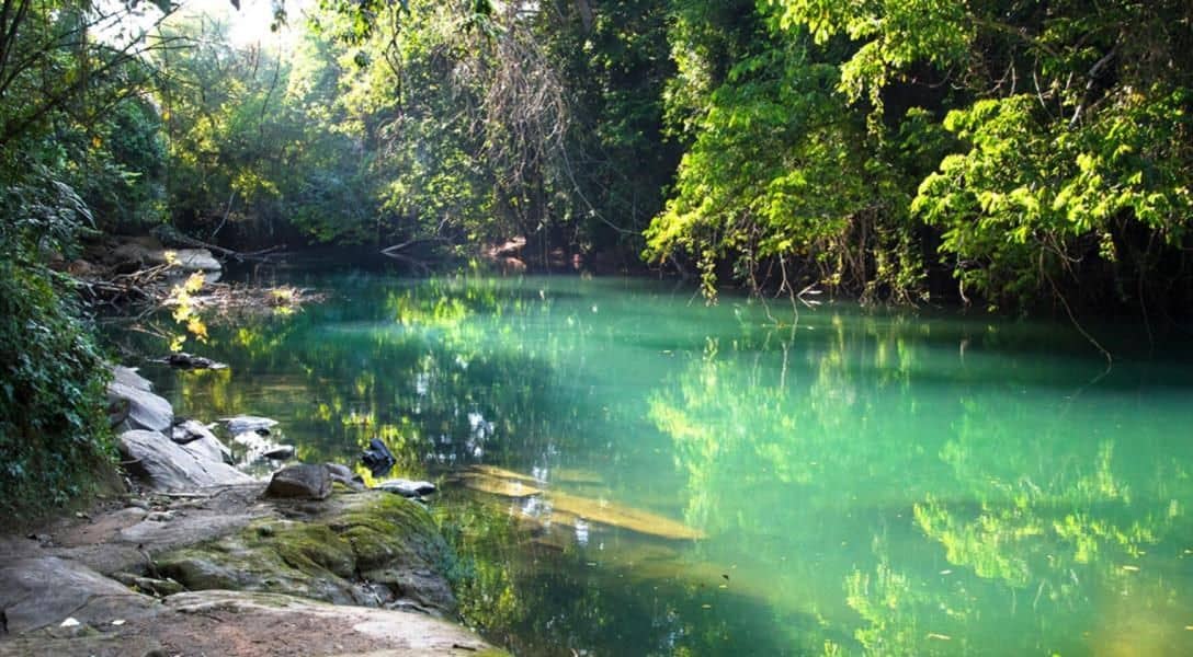 15 Acres of Jungle Bliss Property in Belize — Georgetown, Belize
