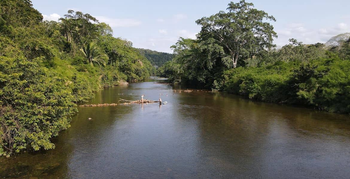 1/4 Acre Lush Jungle Lots — Cristo Rey, Belize