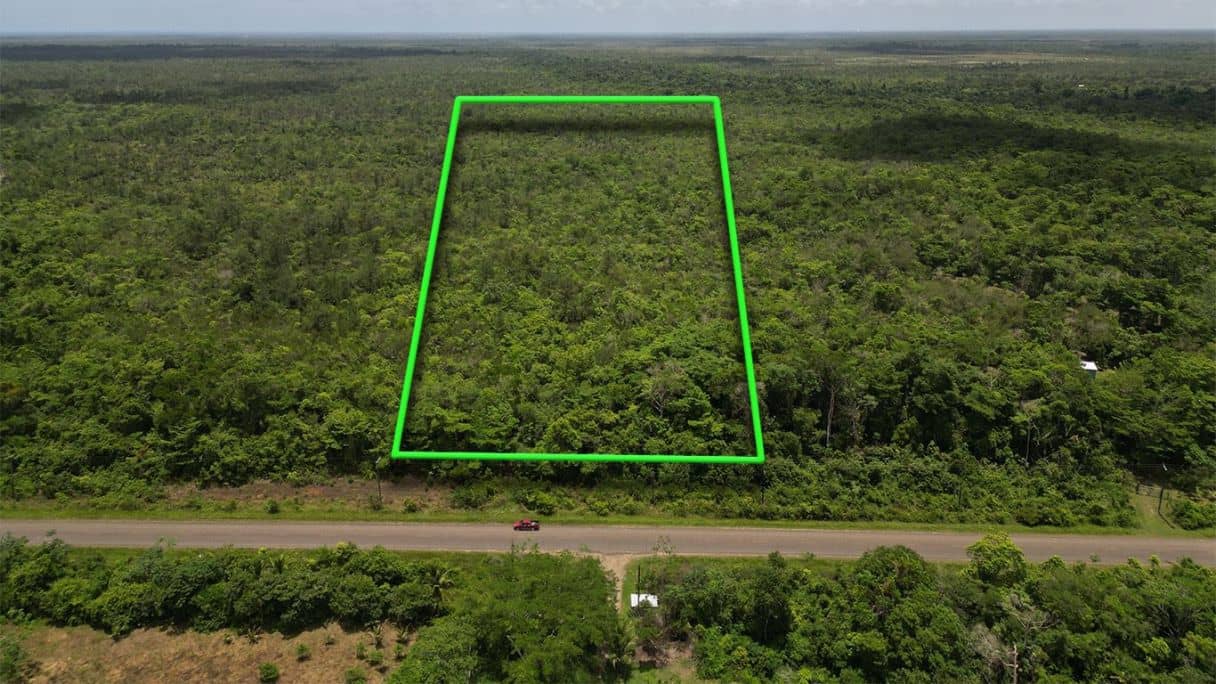 40 Acres of lush farmland on the Southern Highway — Georgetown, Belize