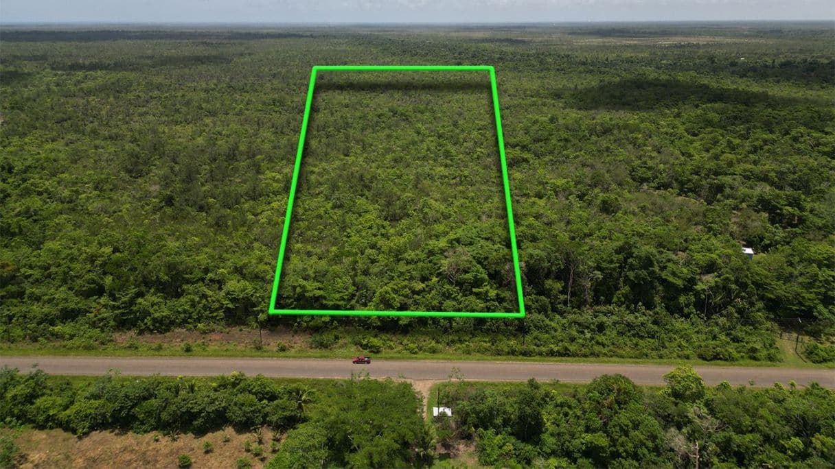 40 Acres of lush farmland on the Southern Highway — photo 1 of 5