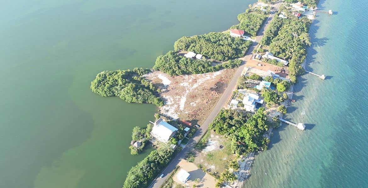2 Massive Properties for Sale in Plantation — Placencia, Belize