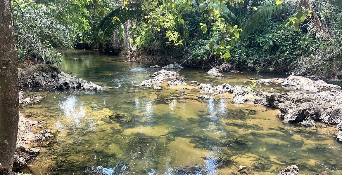 River lots for sale in Excalibur Park — photo 1 of 5
