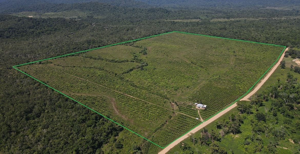 135 Acre Income Generating Parcel — Prime Opportunity! — photo 1 of 9