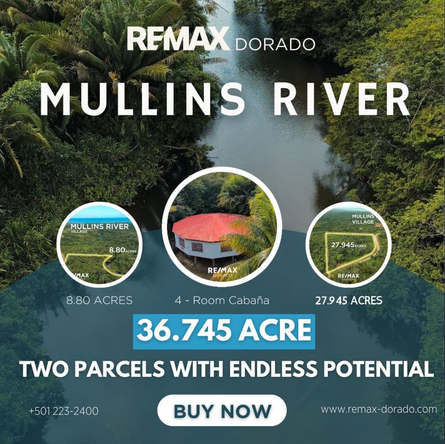 36.745 Acre Mullins River Stann Creek District — photo 1 of 15