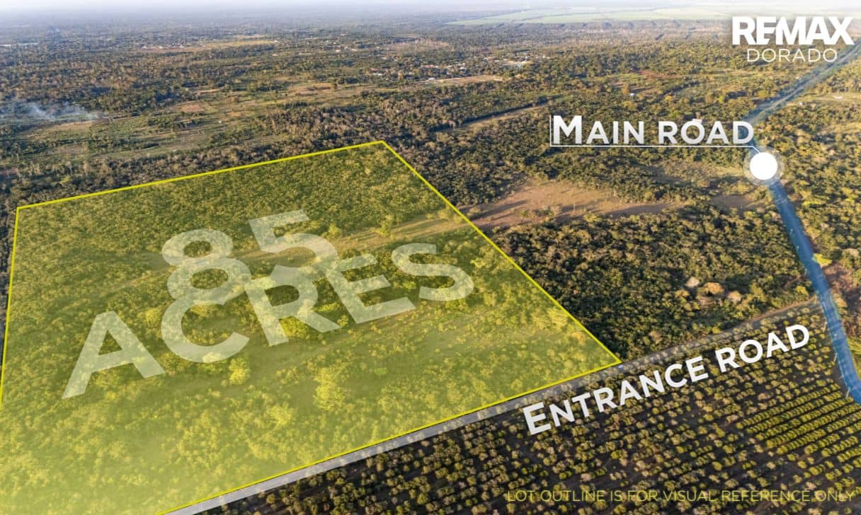 Prime 85-Acre Opportunity in Frank's Eddy Village with Dual Road Access — Cayo, Belize