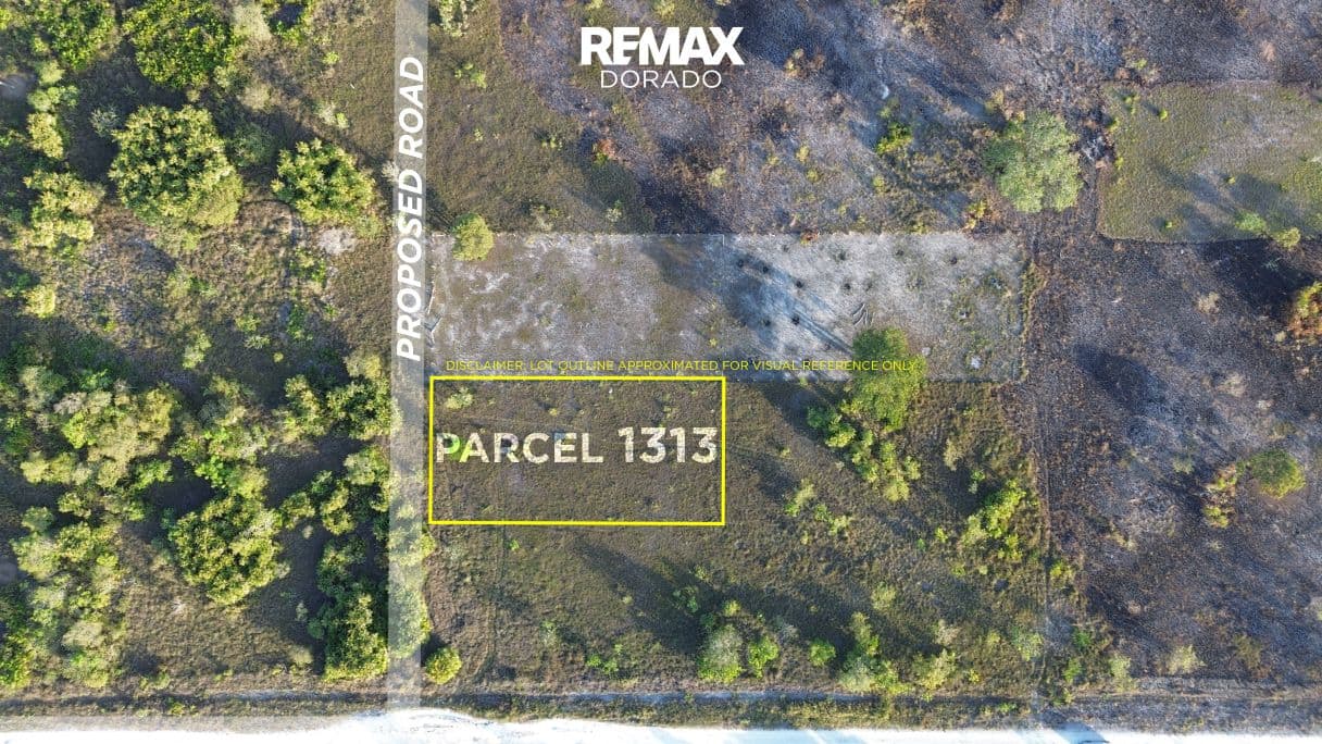 1/4 Acre Property Near Philip Goldson Highway in Orange Walk District! — photo 1 of 7
