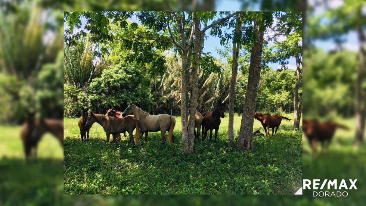 Santa Familia, Cayo District, Belize — Santa Familia, Belize