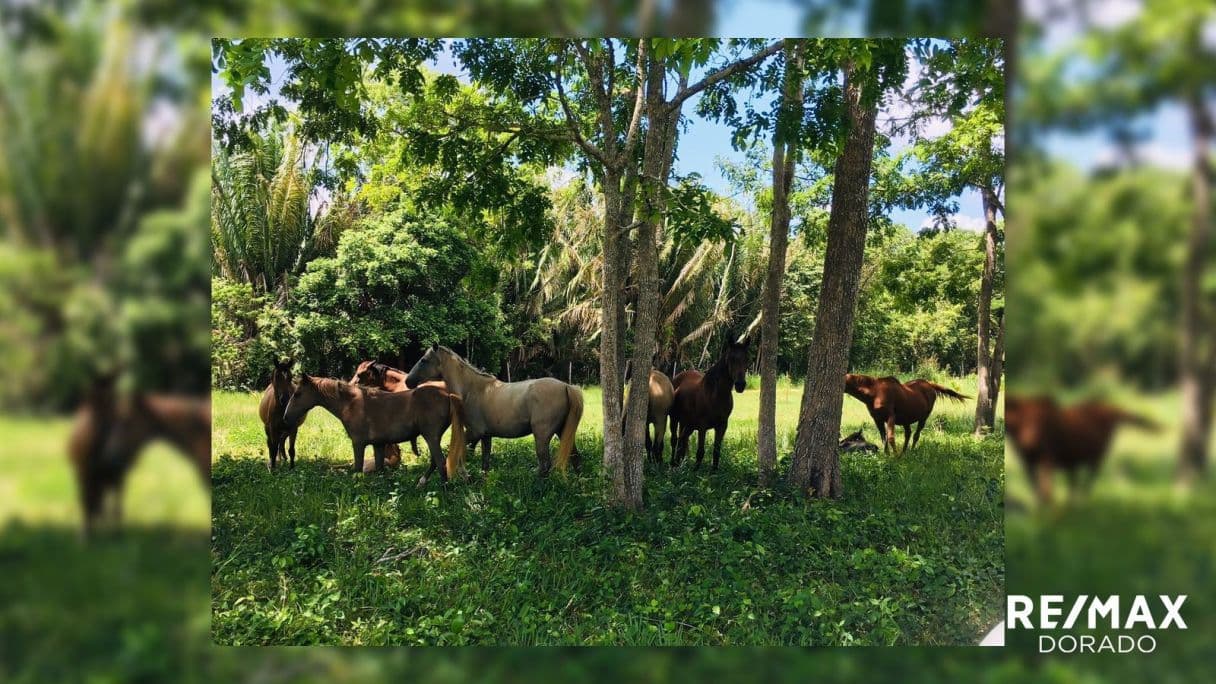 Santa Familia, Cayo District, Belize — photo 1 of 10