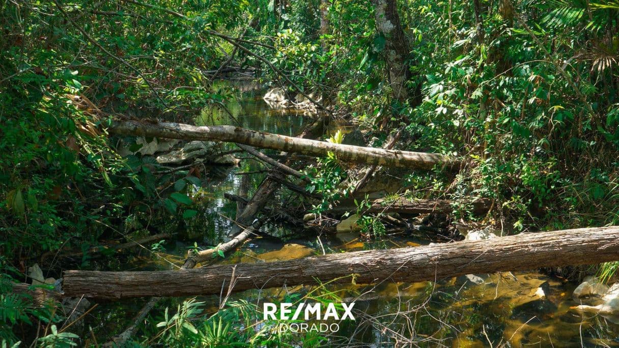 50 Acres Off-Grid Paradise with Mini River and Natural Spring & Year-Round Access – Near Jacintoville/San Felipe — photo 1 of 13