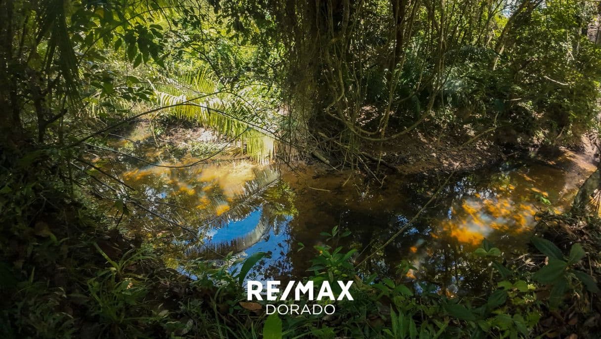 58 Acres with Year-Round Creek, Fruit Trees & Easy Access – Coastal Road Area, Belize — photo 1 of 20