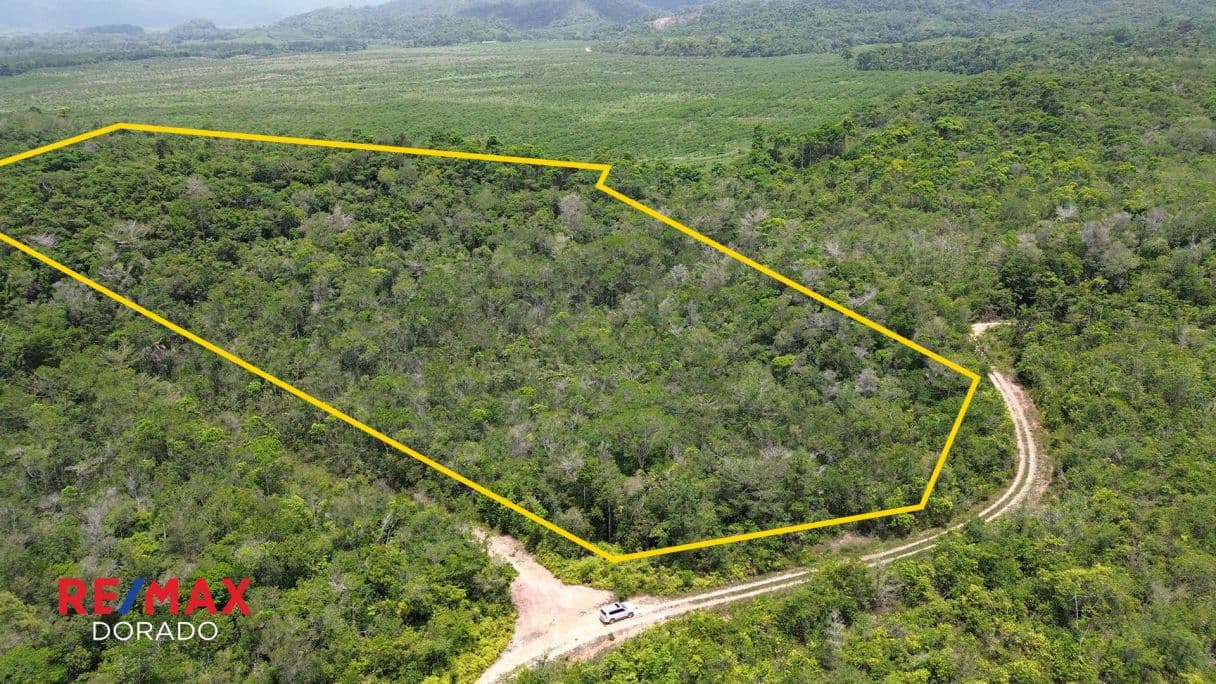 Prime 19.16-Acre Property for Sale: Perfect for Farming or Eco-Tourism Ventures — photo 1 of 9