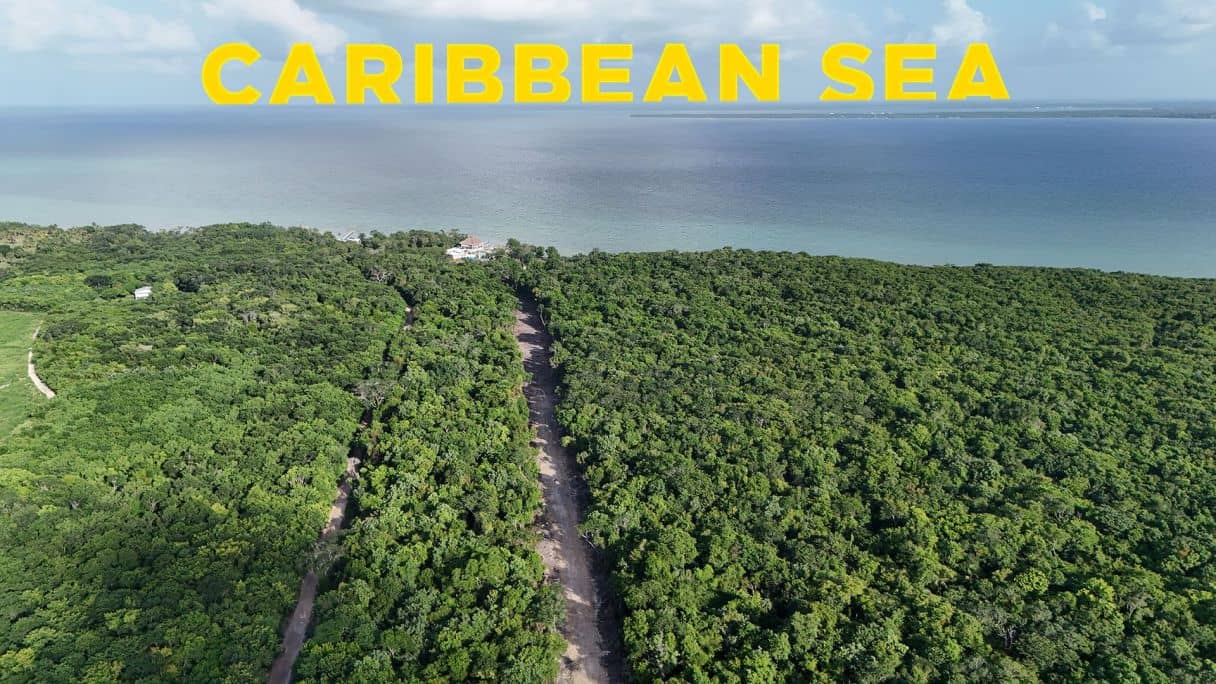 Residential & Commercial Lots Near Corozal Town, Belize — Corozal Town, Belize