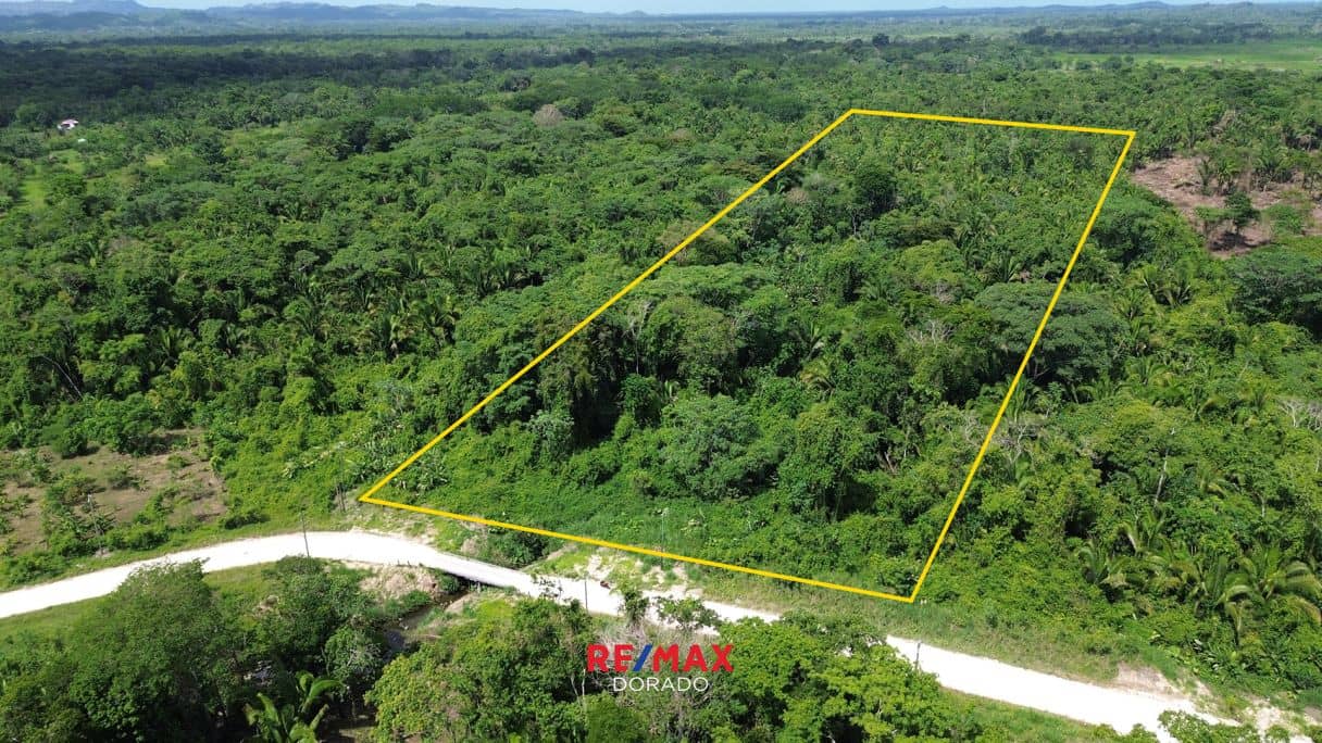 19.21 Acres with creek access, Columbia Road Punta Gorda — Columbia, Belize
