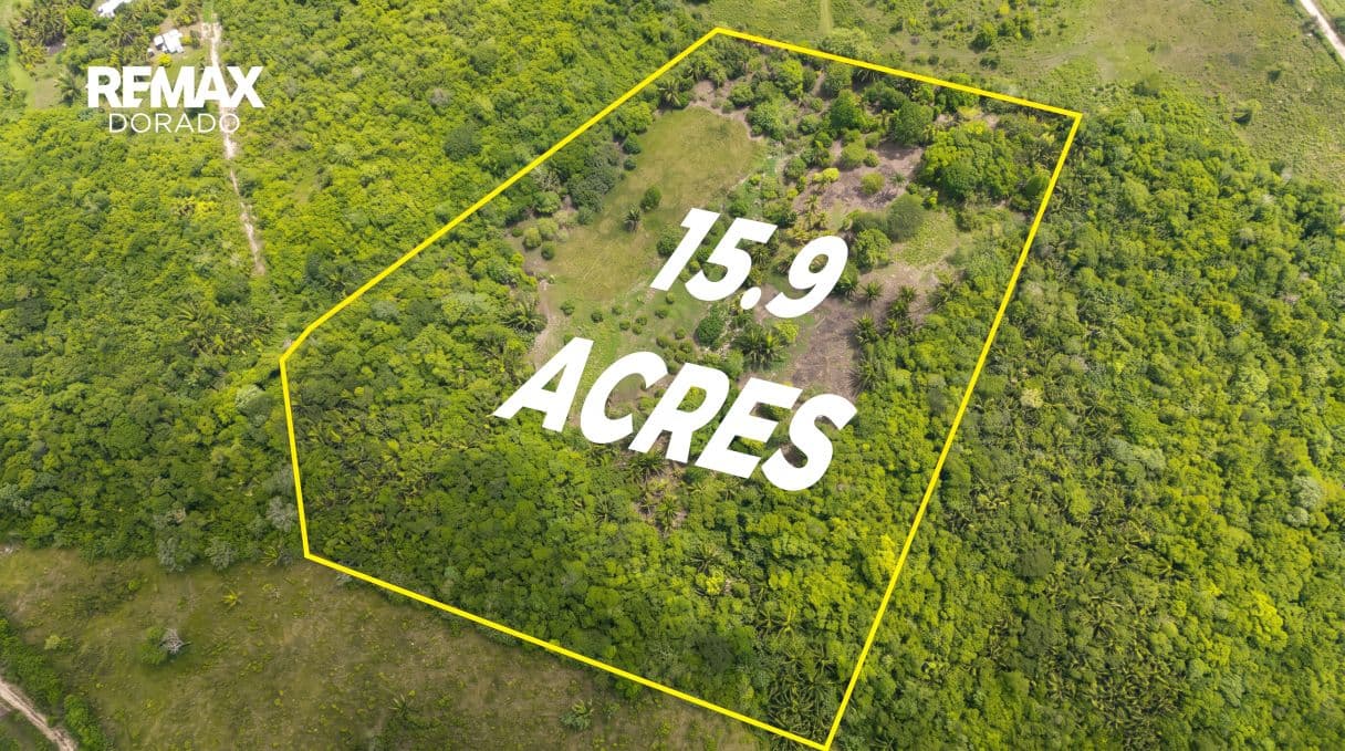 Build, Farm, or Invest | 15.9 Acres in Esperanza Village, Cayo District — photo 1 of 6
