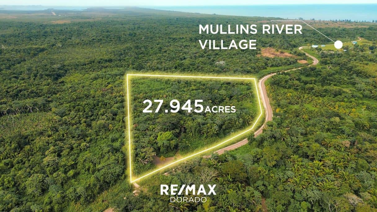 Prime Real Estate Opportunity in Belize: Two Parcels with Endless Potential — Mullins River, Belize