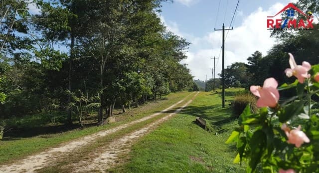 Belize Residential 1/2 Acre Lot – San Ignacio, Cayo District — photo 1 of 6